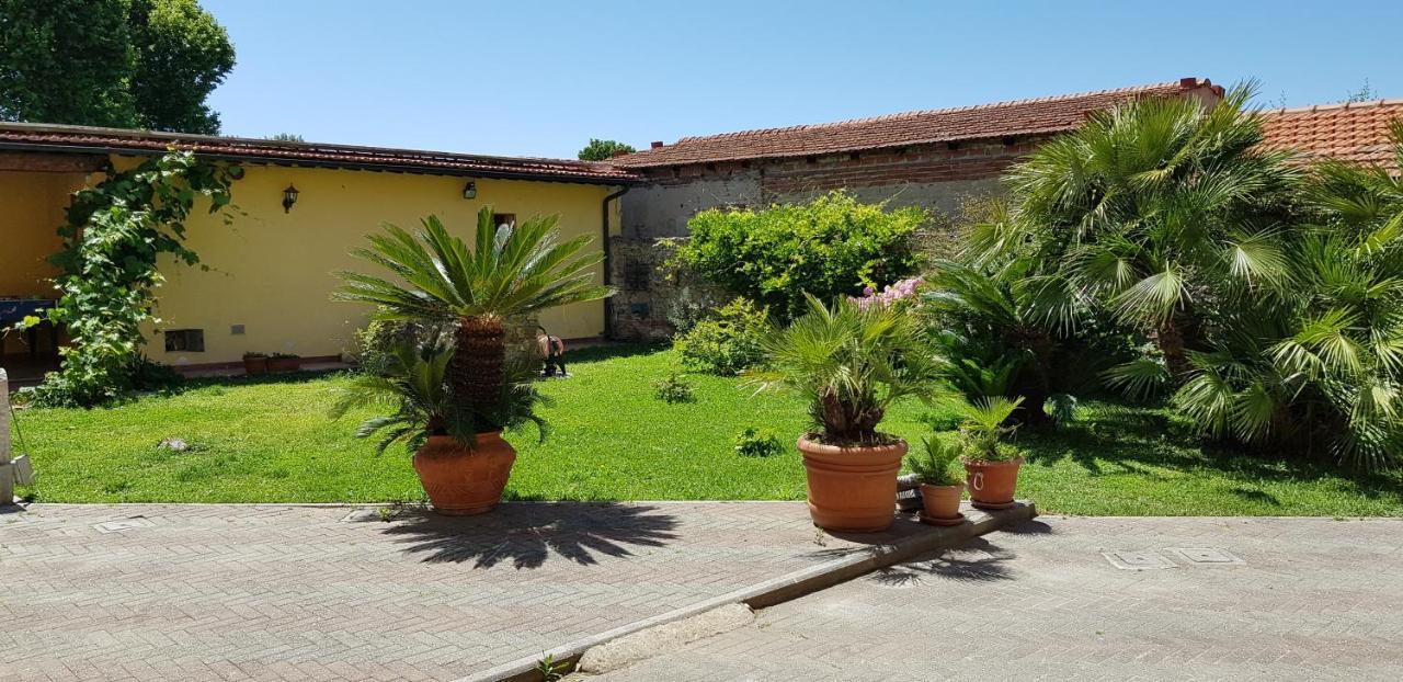 Villa Liberty Il Lauro Bed And Breakfast Pisa Bagian luar foto